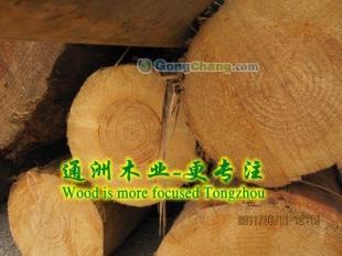 供應(yīng)通洲木業(yè)鐵杉建筑木材,落葉松方木,鐵杉建筑木方加工通洲木業(yè)_紡織皮革_世界工廠網(wǎng)中國產(chǎn)品信息庫