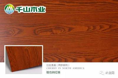 【專訪】千山木業(yè):堅持從產(chǎn)品品質(zhì)出發(fā),做真材實料的真木板